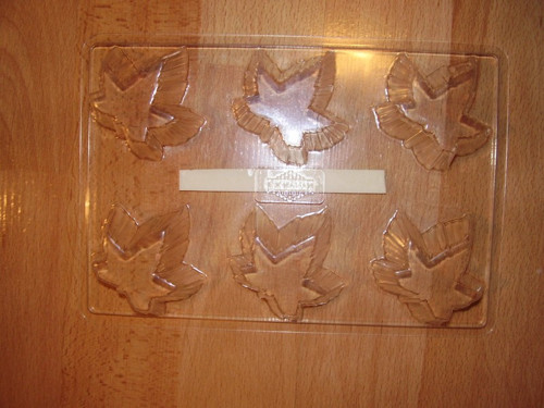 Plastová forma - listy — foto 1
