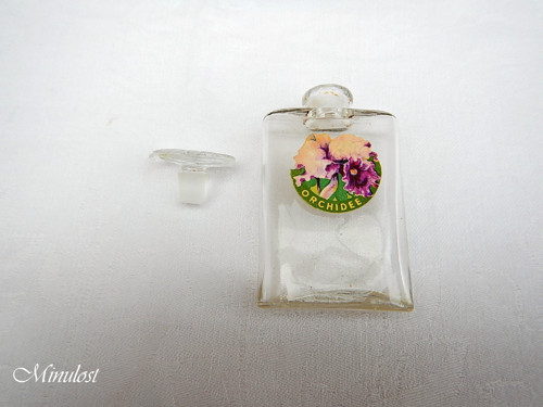 Orchidee — foto 1