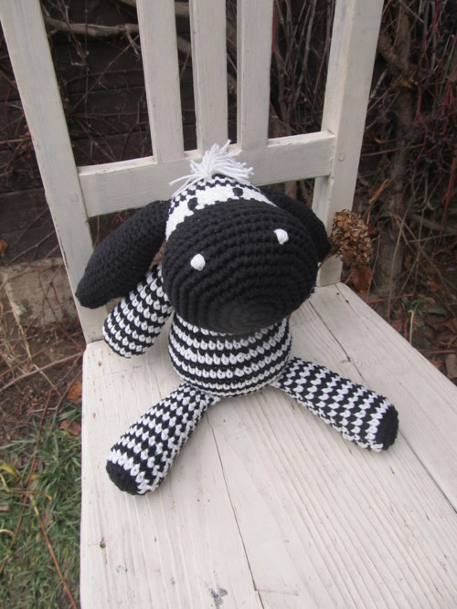 Zebra — foto 1
