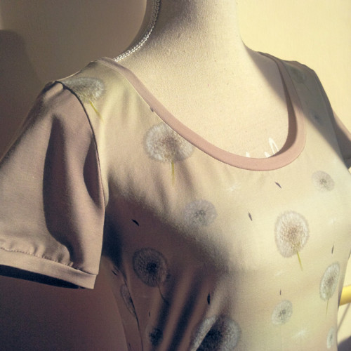 Chmýří pampelišek, vel. 38 — foto 1