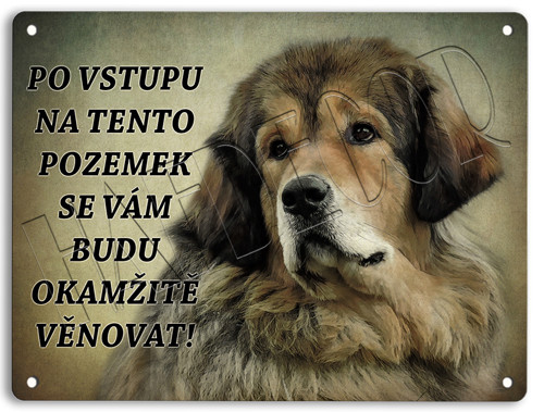 Tibetská doga- Pozemek