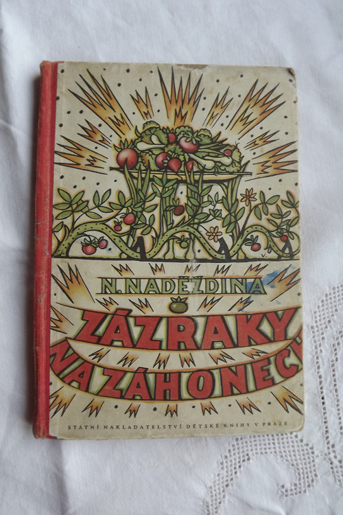 Zázraky na záhonech - N. Naděždina