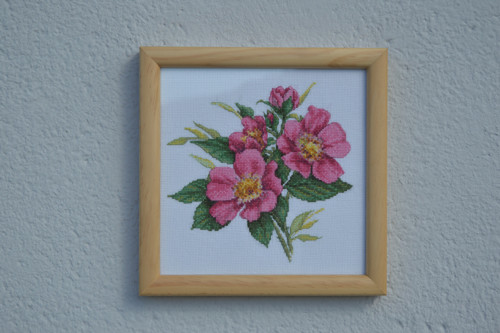 Vyšívaný obrázek divokých růží 26x26 cm