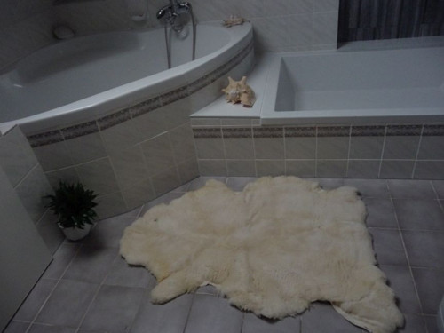 Předložka z ovečky 3 — foto 1