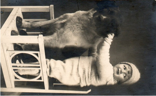 Vánoční pohled chlapec s pejskem — foto 1