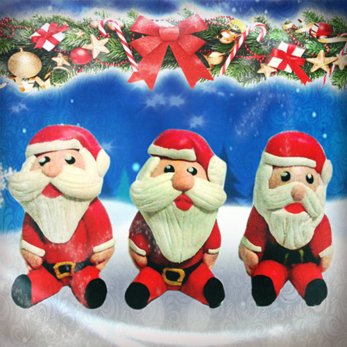 Santa Claus NA ZÁKAZKU