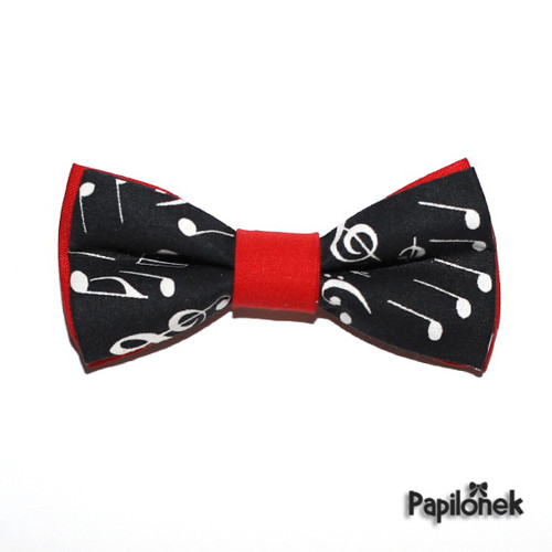 Pánský motýlek - Papilónek muzikant — foto 1
