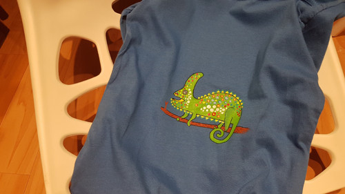 Chameleon v.116 — foto 1