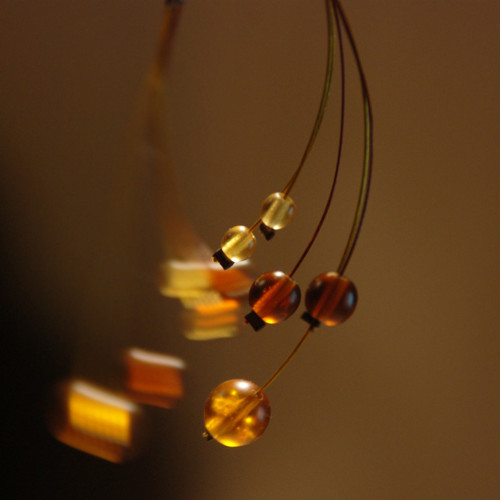 Medulienky drobné — foto 1