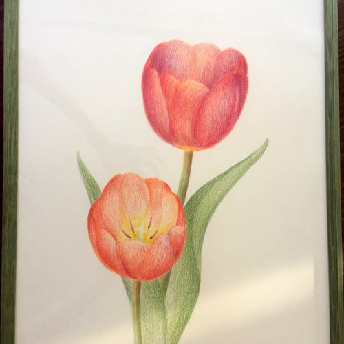 Pan Fanfán Tulipán s utajenou vílou