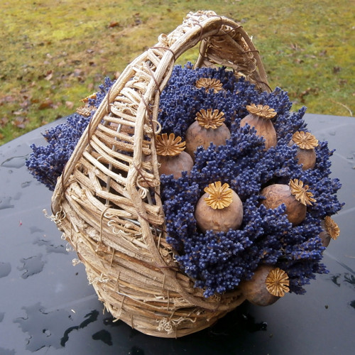 Levandule, makovice v košíku 2 — foto 1
