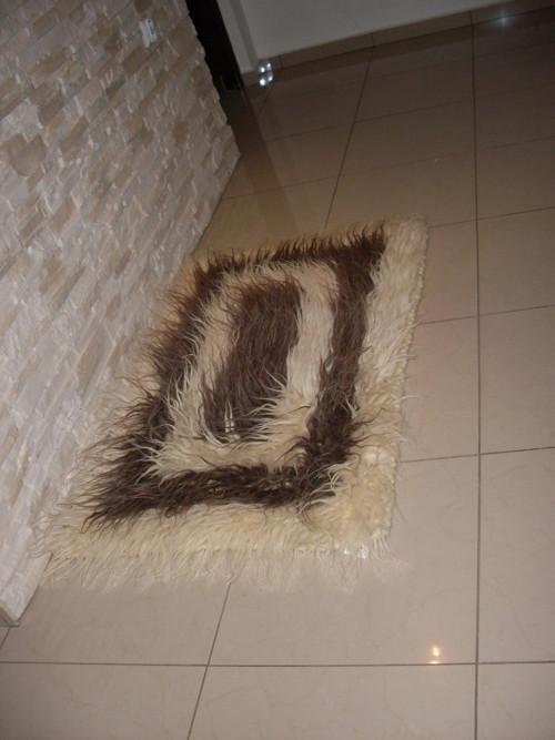 Vzorovaná guba
