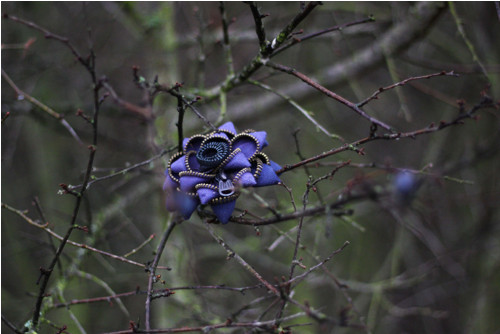 Brož Blue — foto 1