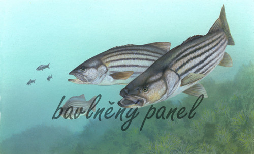 Bavlněný panel RYB 82 — foto 1