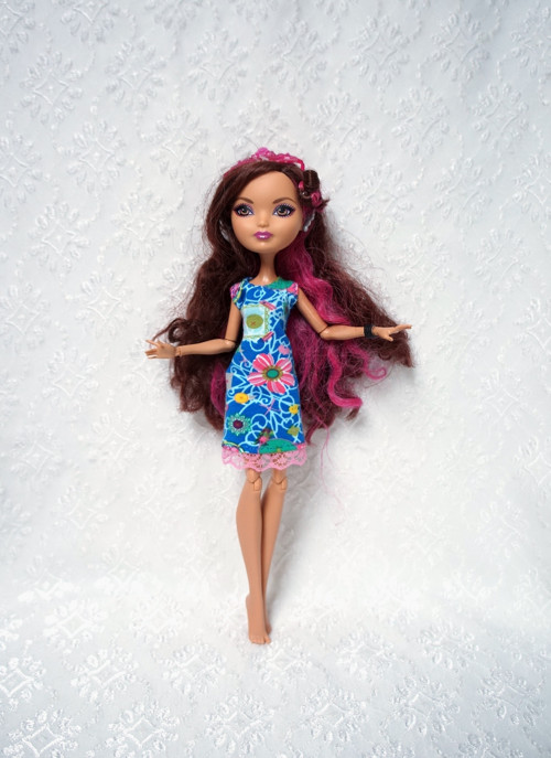 Šaty pro MH / Ever After High — foto 1