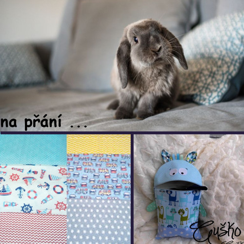 Dvě příšerky na přání ... — foto 1