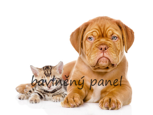 Bavlněný panel PS 194