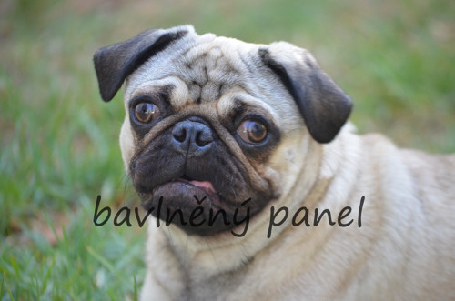 Bavlněný panel PS 203