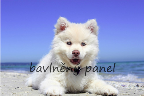 Bavlněný panel PS 205