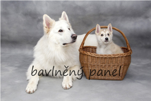 Bavlněný panel PS 213