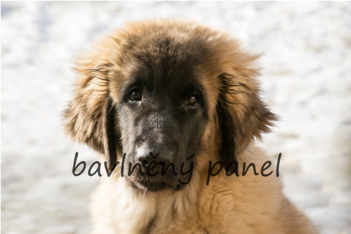 Bavlněný panel PS 233 — foto 1