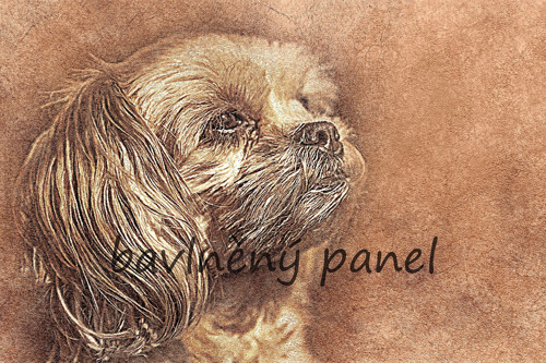 Bavlněný panel PS 241