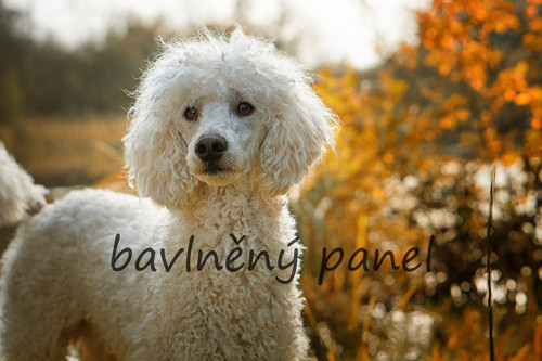 Bavlněný panel PS 250