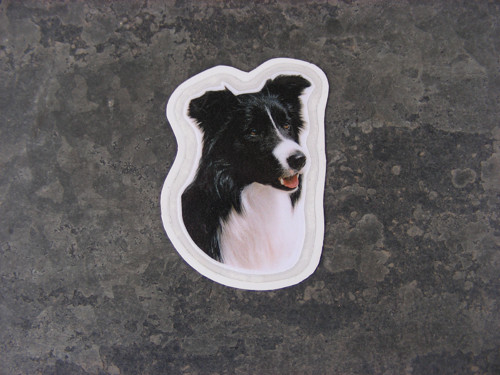 Magnetka — foto 1