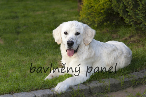 Bavlněný panel PS 255