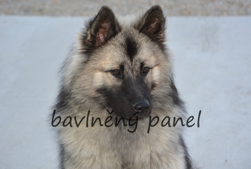 Bavlněný panel PS 269 — foto 1