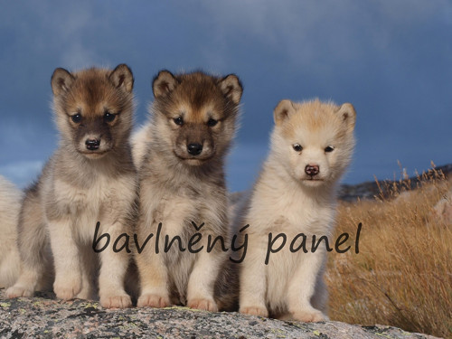 Bavlněný panel PS 270 — foto 1