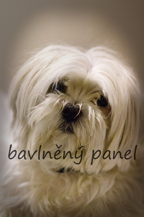 Bavlněný panel PS 290