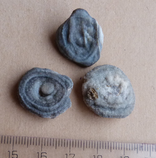 Chalcedon hadí oko - 3 ks