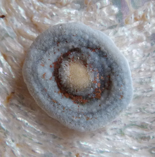 Chalcedon hadí oko - 1,9 cm — foto 1