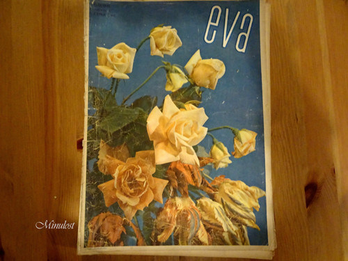 EVA Ročník X, číslo 15 — foto 1