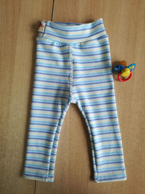 Legíny