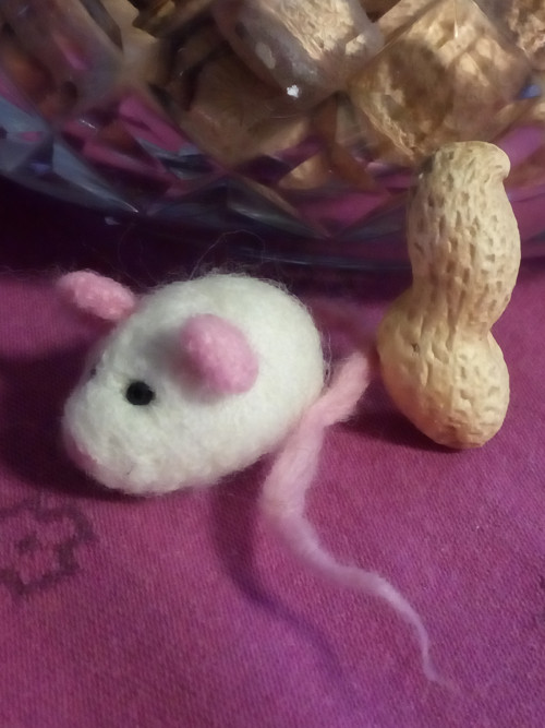 Myšička myš — foto 1