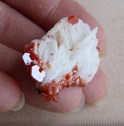 Vanadinit, baryt - 3,1 cm — foto 1