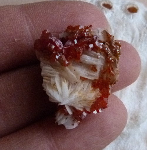 Vanadinit, baryt - 2,8 cm — foto 1