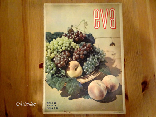 EVA Ročník X , číslo 21 — foto 1