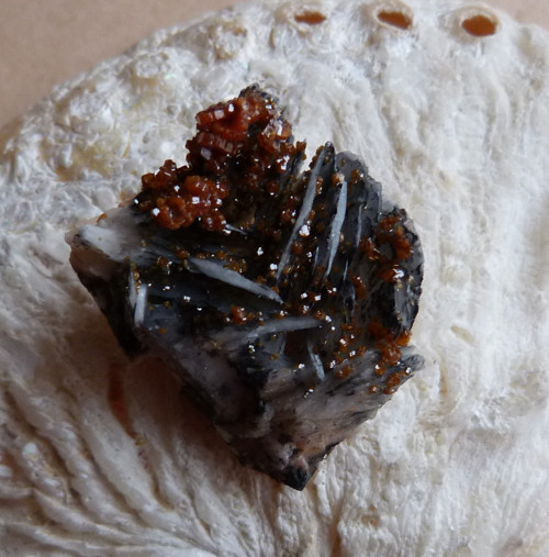 Vanadinit, baryt - 3,3 cm — foto 1