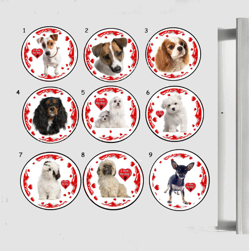 MAGNET maltézák, shih-tzu, krysařík, kavalír, jack