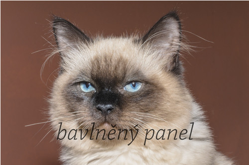 Bavlněný panel KOC 51