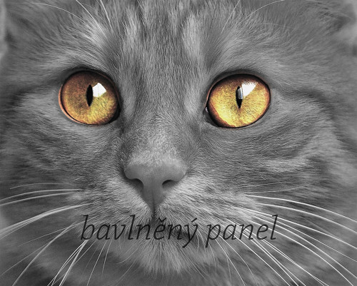 Bavlněný panel KOC 54 — foto 1