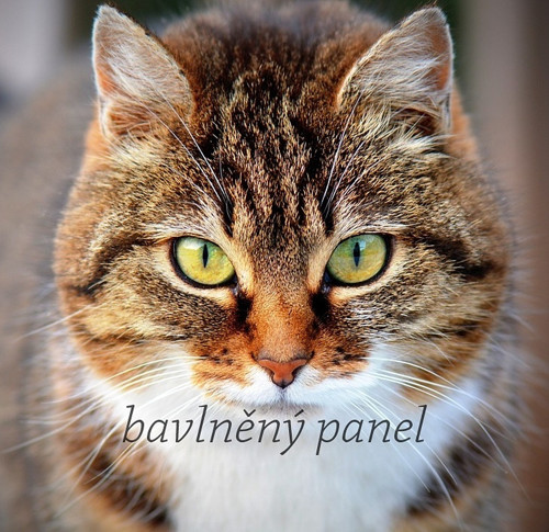 Bavlněný panel KOC 58 — foto 1