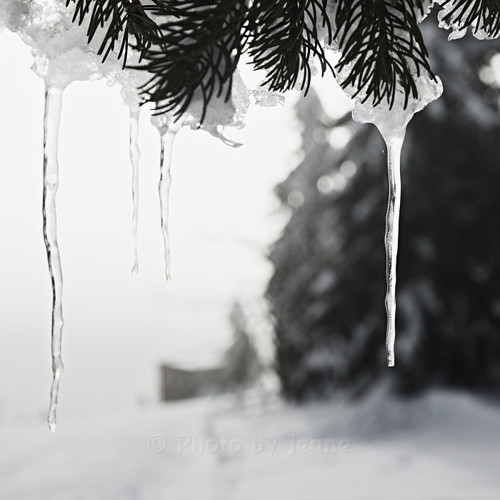 Klid na Neklidu VI. - autorská fotografie