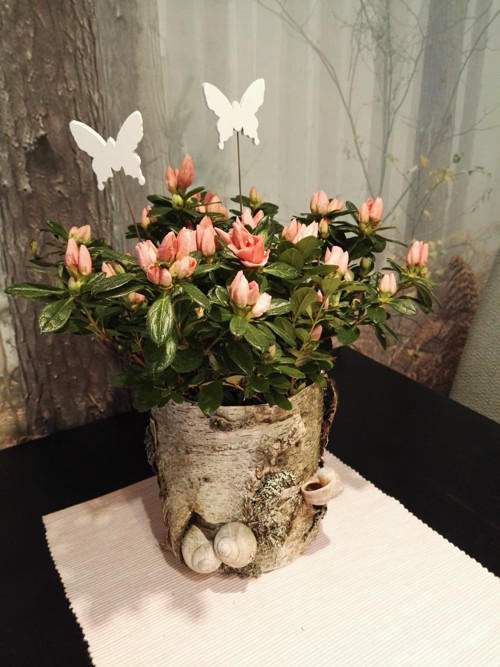 Natural floral ART březový obal s květinou