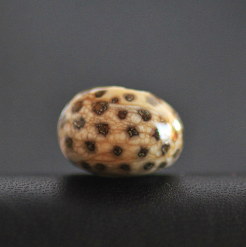 Vinutka - průvlek 5 mm — foto 1