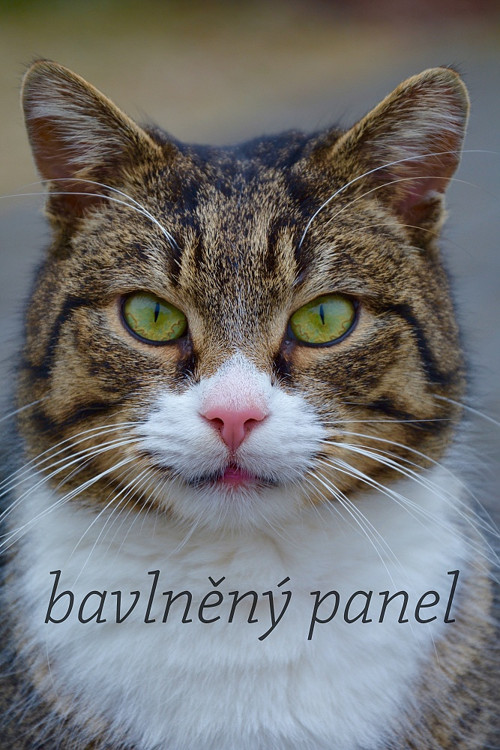 Bavlněný panel KOC 65 — foto 1