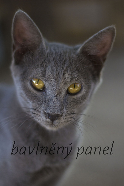 Bavlněný panel KOC 66 — foto 1